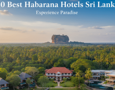 10 Best Habarana Hotels Sri Lanka – All You Must Know