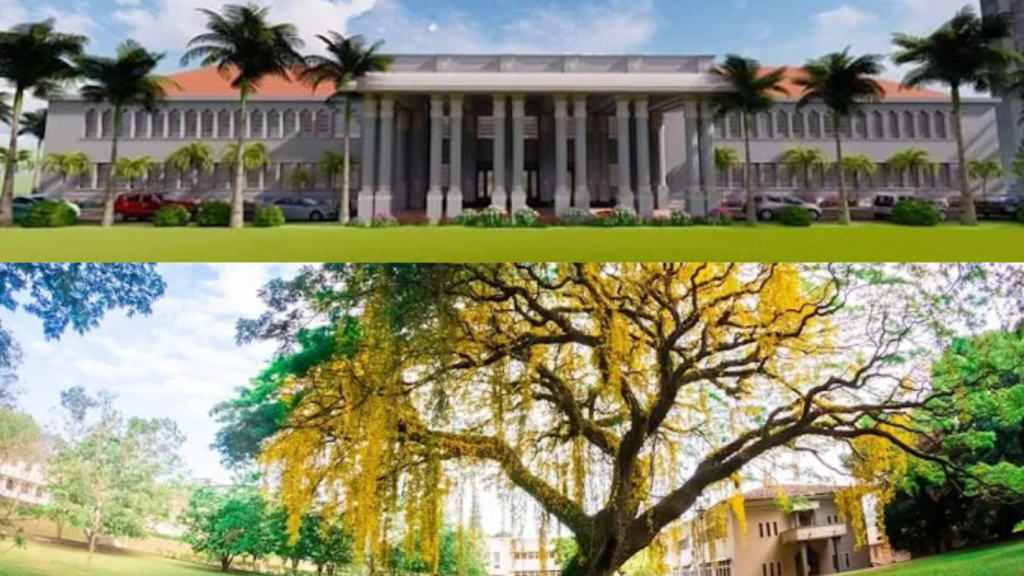Alt 1: Beautiful green campus of the University of Peradeniya with palm trees and the Mahaweli River in the background